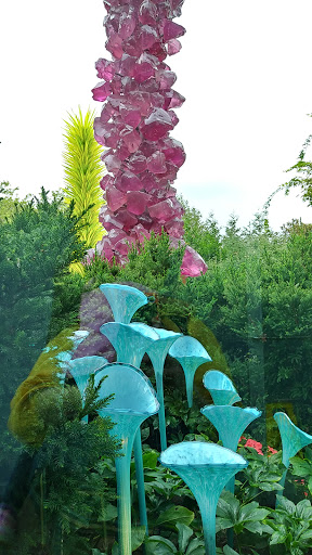 Tourist Attraction «Seattle CityPASS», reviews and photos, 400 Broad St, Seattle, WA 98109, USA