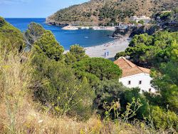 Foto di Playa del Morts con più baie spaziose