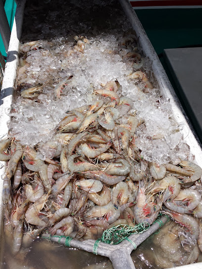 Shrimp Kingdom Seafood