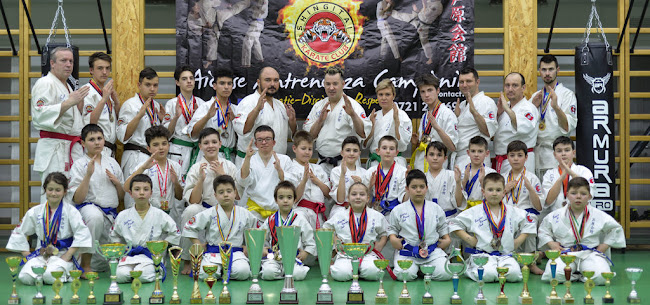 Shingitai Karate Club Brașov - <nil>