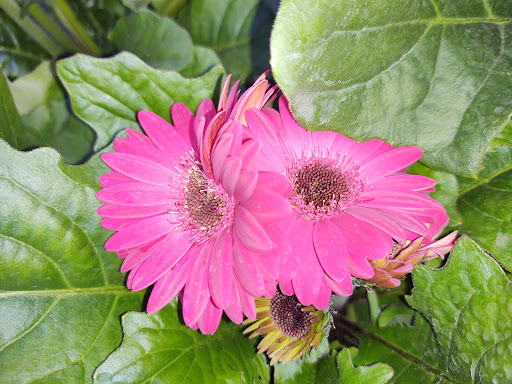 Home Improvement Store «The Home Depot», reviews and photos, 6160 W Behrend Dr, Glendale, AZ 85308, USA