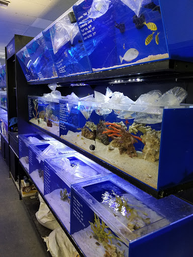 Tropical Fish Store «The Aquarium Connection», reviews and photos, 1663 E Los Angeles Ave, Simi Valley, CA 93065, USA