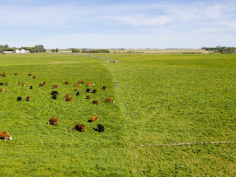 Gemstone Grass Fed Beef