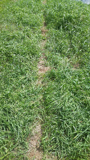 Pet Supply Store «Petco Animal Supplies», reviews and photos, 15622 Old Columbia Pike, Burtonsville, MD 20866, USA