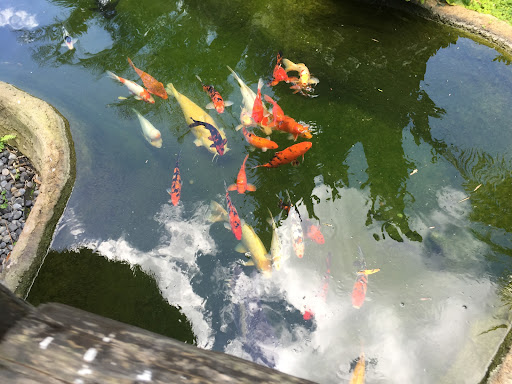 Zoo «Zoological Wildlife Foundation», reviews and photos, 16225 SW 172nd Ave, Miami, FL 33187, USA