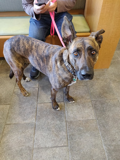 Muller Veterinary Hospital image