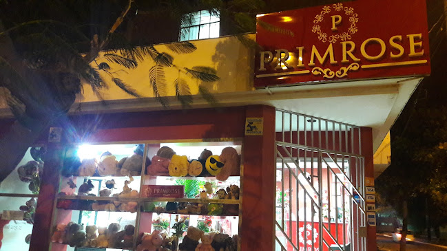 Primrose Perú