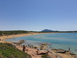 Spiaggia di Porto Ferro'in fotoğrafı imkanlar alanı
