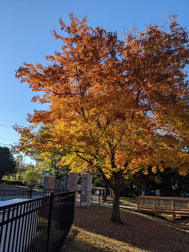 Park «Ashford Park», reviews and photos, 2980 Redding Rd NE, Brookhaven, GA 30319, USA