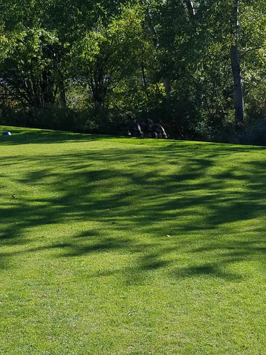 Golf Course «Bangor Municipal Golf Course», reviews and photos, 278 Webster Ave, Bangor, ME 04401, USA