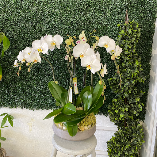 Florist «Brunettos», reviews and photos, 6227 Santa Teresa Blvd, San Jose, CA 95119, USA