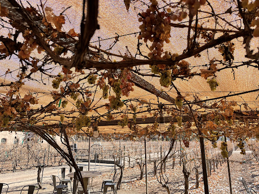 Winery «Casa Rondena Winery», reviews and photos, 733 Chavez Rd, Los Ranchos De Albuquerque, NM 87107, USA