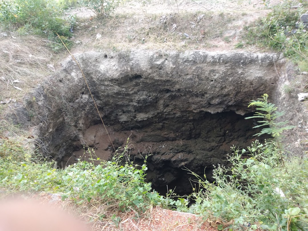 சங்கமித்ரா ஞானவேல் வயல்