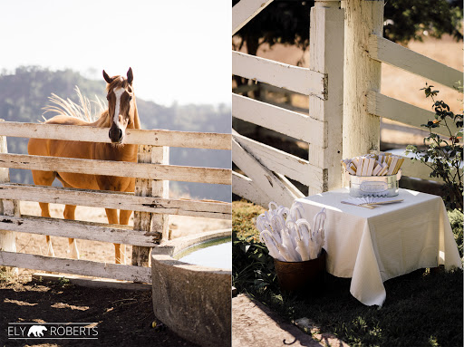 Weddings «Diablo Ranch Events», reviews and photos, 1453 N Gate Rd, Walnut Creek, CA 94598, USA