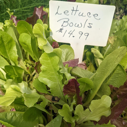 Wholesale Plant Nursery «Garden Fantasy», reviews and photos, 43250 Tyler Rd, Belleville, MI 48111, USA