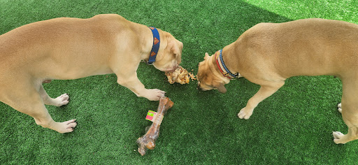 Pet Supply Store «Concord Pet Foods & Supplies», reviews and photos, 135 Aerenson Dr, Milford, DE 19963, USA