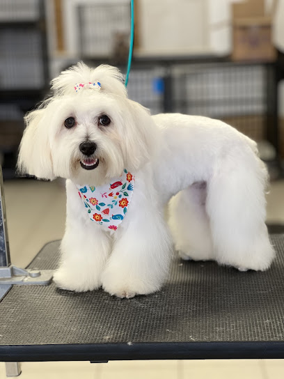 Muddy Paws Grooming and Boarding