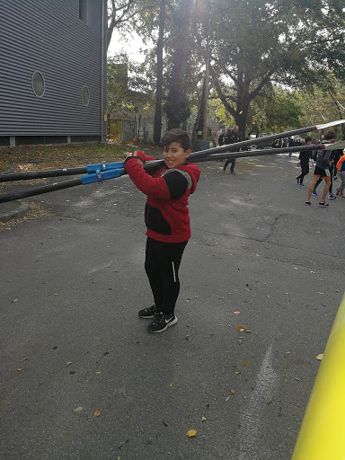 Cours d'aviron Toulouse