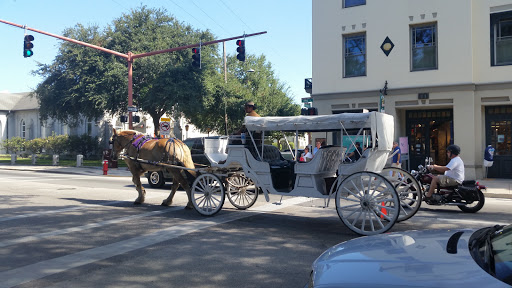History Museum «Government House», reviews and photos, 48 Cathedral Pl, St Augustine, FL 32084, USA