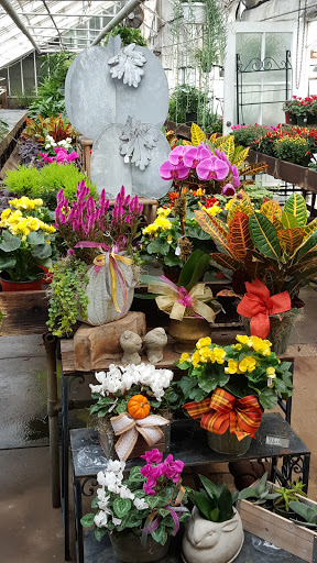 Florist «Carlson Florist», reviews and photos, 625 Dobbs Ferry Rd, White Plains, NY 10607, USA