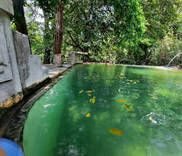 Alberca Reserva Cerro Hueco photo