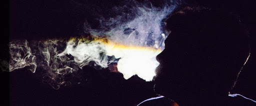 Wildtree Smoke Shop, 47056 Dequindre Rd, Shelby Charter Township, MI 48317, USA, 