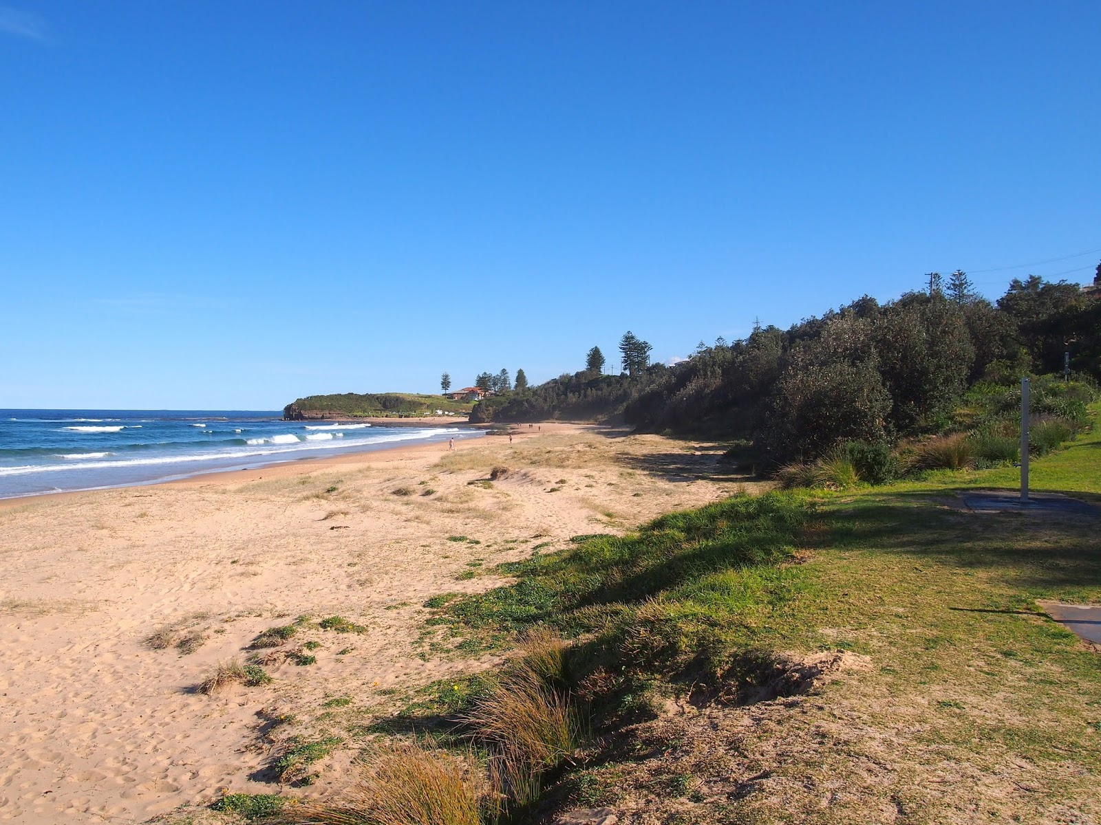 Sharky Beach photo #9
