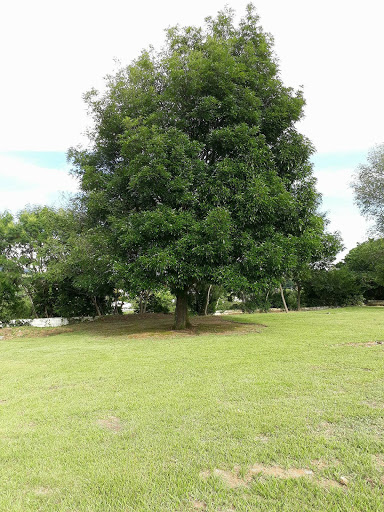 Park «Carl Barton Jr Park», reviews and photos, 2500 S Loop 336 W, Conroe, TX 77302, USA