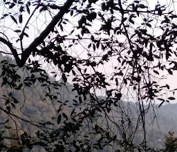 Parque Ecoturistico San Bernabé Ocotepec photo