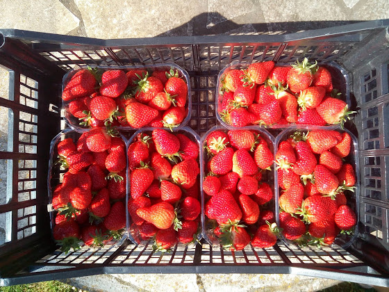 Plats et boissons Gîte Peneleau - Île et Bungalov' 47800 Montignac-de-Lauzun