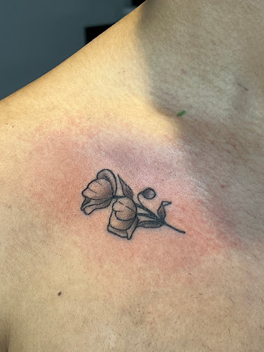 Find tattoo ideas with birds for your next unique tattoo in Bethlehem at Tony J tattoos