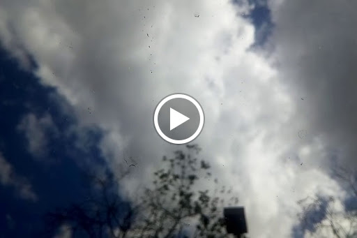 Park «Veterans Park», reviews and photos, 4554 Avenida Granada, Cypress, CA 90630, USA