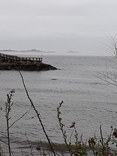 Nature Preserve «Steer Swamp Conservation Area», reviews and photos, 188 Washington St, Marblehead, MA 01945, USA