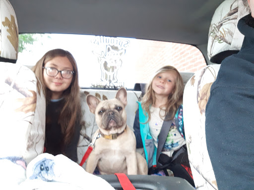 Pet Supply Store «Pet Supplies Plus», reviews and photos, 2649 E Grand River Ave, Howell, MI 48843, USA