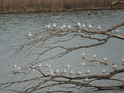 Observatoire ornithologique