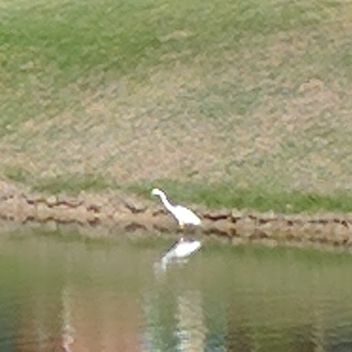 Public Golf Course «Heritage Ranch & Golf Country Club», reviews and photos, 465 Scenic Ranch Cir, McKinney, TX 75069, USA