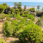 Photo n°5 de l'avis de Maria.o fait le 02/09/2021 à 08:06 sur le  Hotel Nel Pineto à Montesilvano