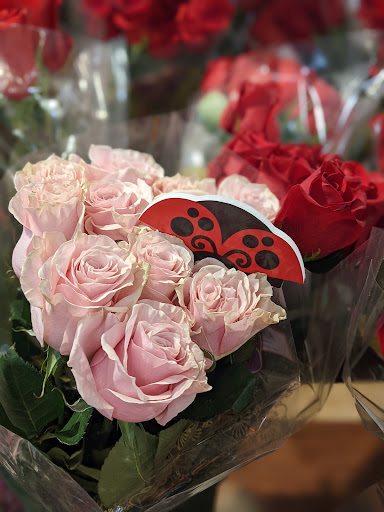 Grocery Store «Kroger», reviews and photos, 704 Euclid Ave, Lexington, KY 40502, USA