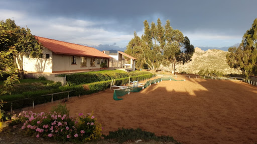 Dressage lessons La Paz