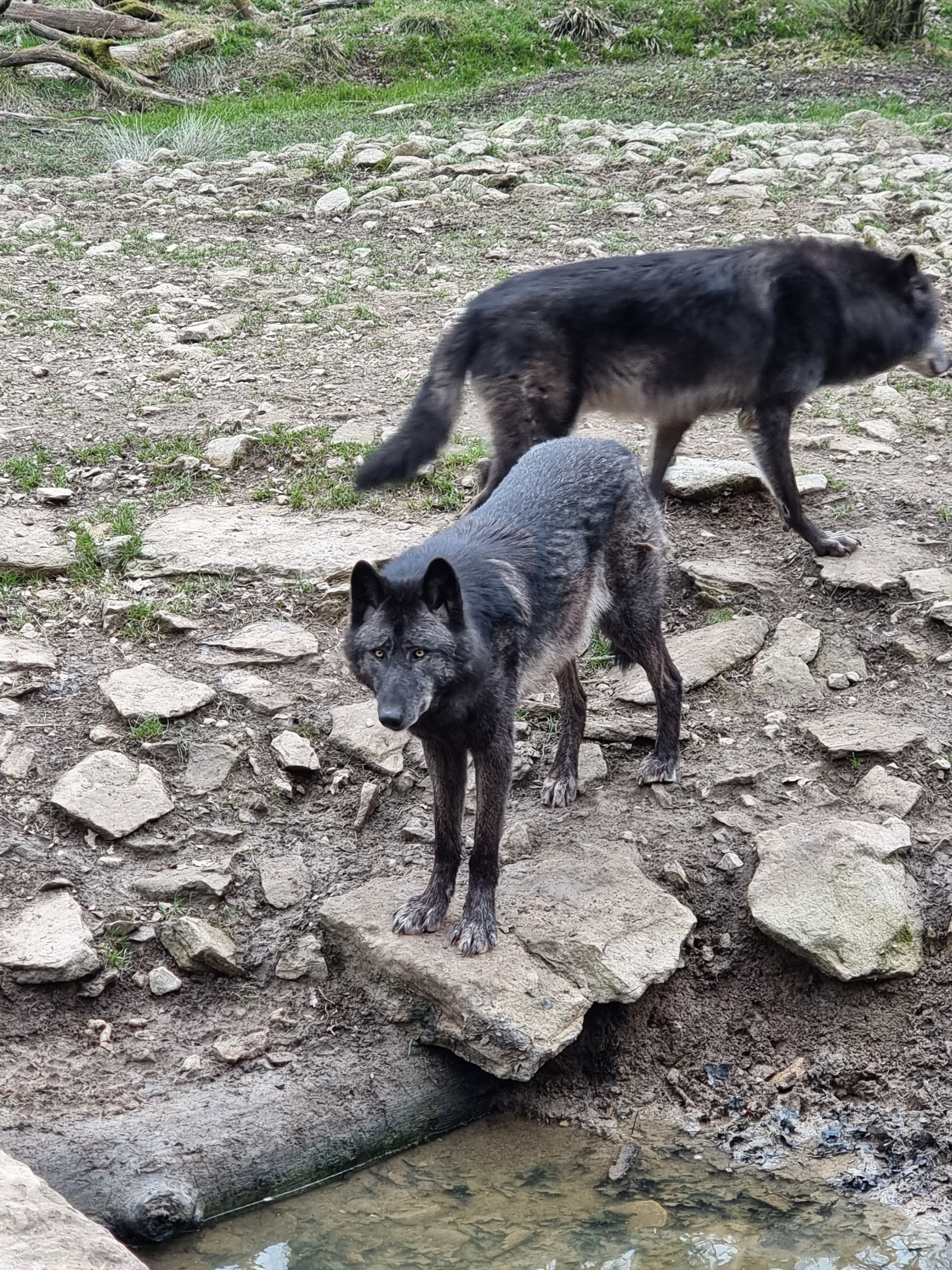 Photo n° 20 de l'avis de percque.a fait le 12/03/2023 à 16:11