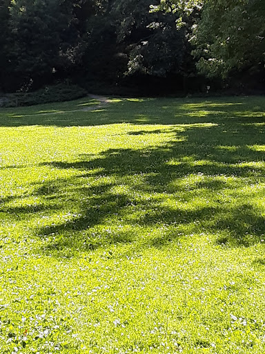 Botanical Garden «Botanical Gardens At Asheville», reviews and photos, 151 W .T. Weaver Blvd, Asheville, NC 28804, USA