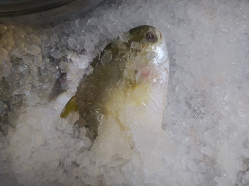 Seafood Market «Asc Foodstore & Fresh Seafood», reviews and photos, 486 Magnolia St, Spartanburg, SC 29303, USA