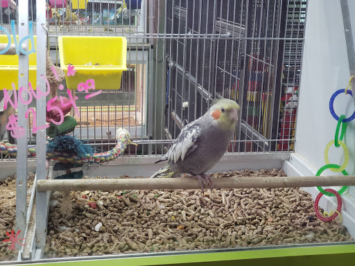 Pet Store «Animart», reviews and photos, 4303 E Towne Way, Madison, WI 53704, USA