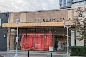 Anthropologie image