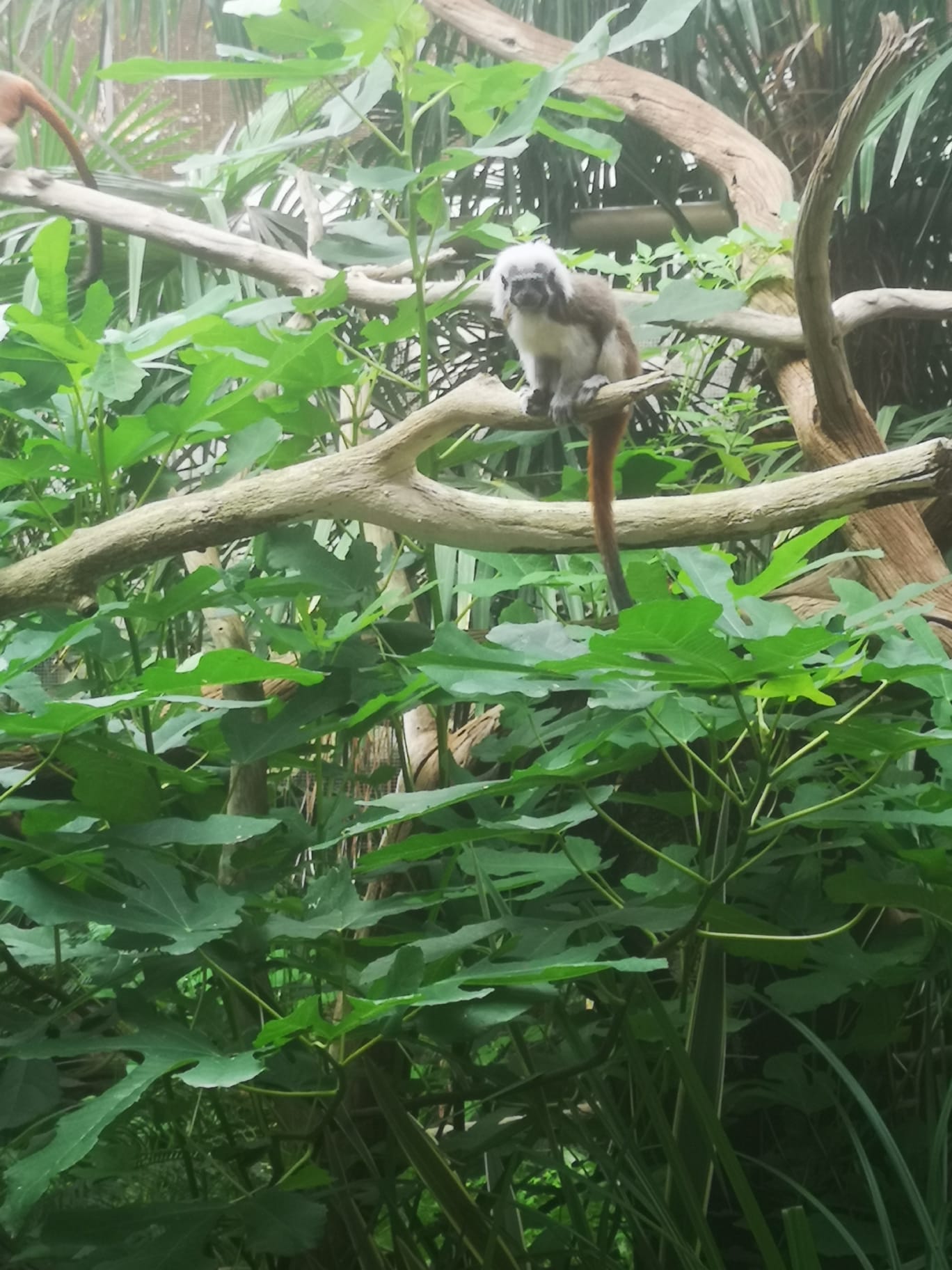 Photo n° 1 de l'avis de Bruno.a fait le 25/08/2023 à 12:01