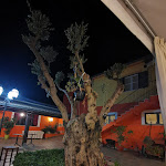 Photo n°11 de l'avis de Moreno.r fait le 02/09/2022 à 04:28 sur le  Agriturismo Masseriairisi à Lamezia Terme