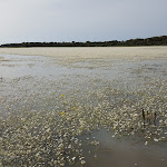 Photo n°1 de l'avis de Veronica.t fait le 29/04/2018 à 20:38 sur le  Centro Visite - Punto Ristoro - Parco della Giara à Tuili