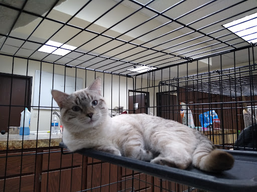 Humane Society of Northwest