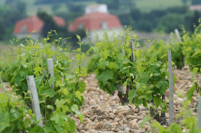 Château de Vaudieu à Châteauneuf-du-Pape