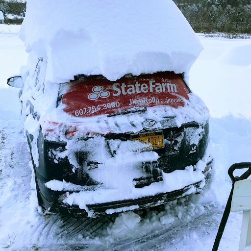 Insurance Agency «Jim Rollo - State Farm Insurance Agent», reviews and photos